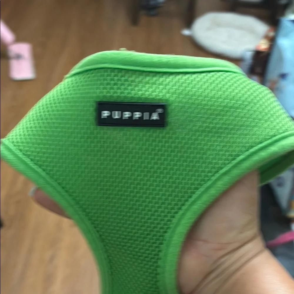 Puppia Vibrant Green Dog Harness and Leash!